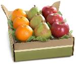 Fruitful Trio Deluxe Fruit Gift