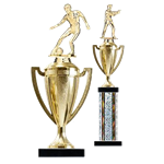 Cup Series