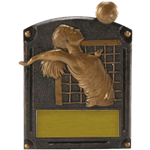 Hall of Fame Series