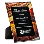 Plaques