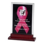 Awareness Ribbons