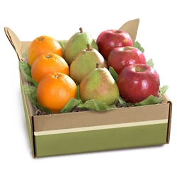 Fruitful Trio Deluxe Fruit Gift