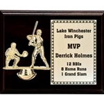 Plaques